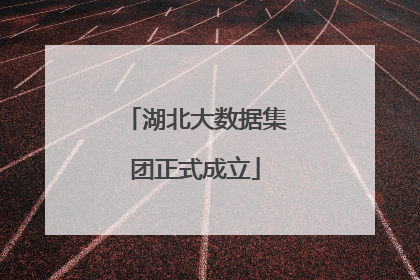 湖北大数据集团正式成立