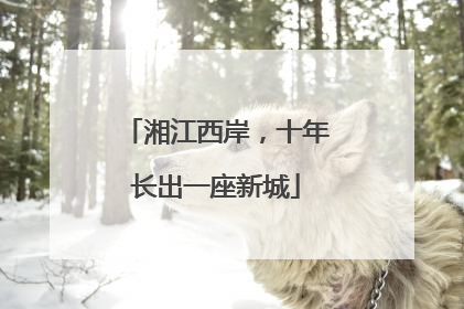 湘江西岸，十年长出一座新城