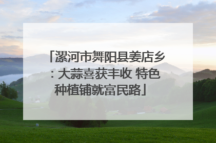 漯河市舞阳县姜店乡：大蒜喜获丰收 特色种植铺就富民路