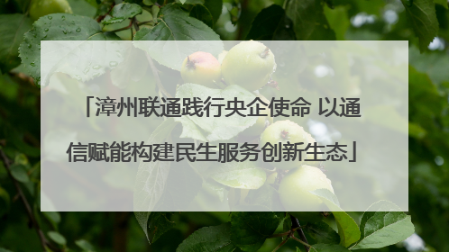 漳州联通践行央企使命 以通信赋能构建民生服务创新生态