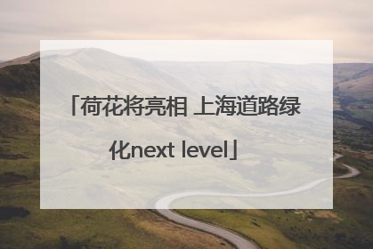 荷花将亮相 上海道路绿化next level