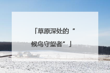 草原深处的“候鸟守望者”