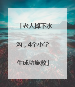 老人掉下水沟，4个小学生成功施救