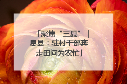 聚焦“三夏”｜息县：驻村干部奔走田间为农忙