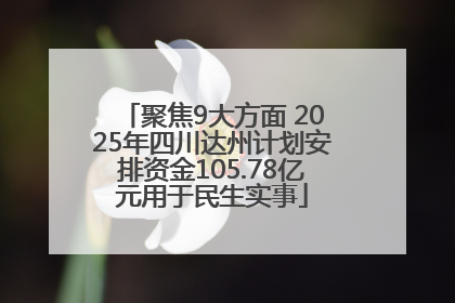 聚焦9大方面 2025年四川达州计划安排资金105.78亿元用于民生实事