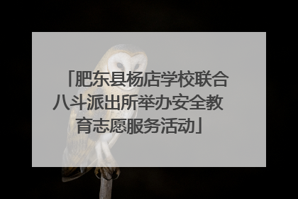 肥东县杨店学校联合八斗派出所举办安全教育志愿服务活动