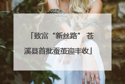 致富“新丝路” 苍溪县首批蚕茧迎丰收