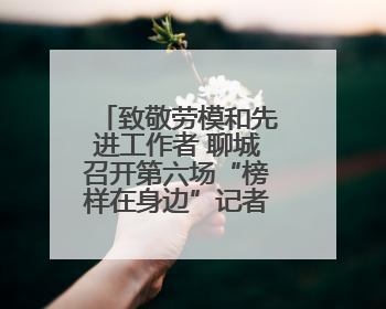 致敬劳模和先进工作者 聊城召开第六场“榜样在身边”记者见面会