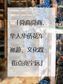 舜裔舜商、华人华侨花车巡游、文化踩街点亮宁远