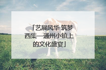 艺展风华·筑梦西集—通州小镇上的文化盛宴
