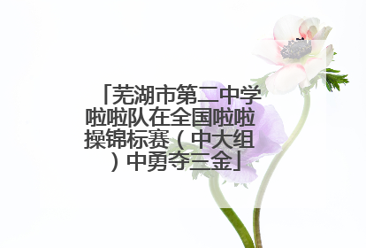 芜湖市第二中学啦啦队在全国啦啦操锦标赛（中大组）中勇夺三金