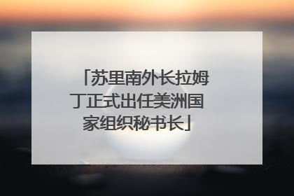 苏里南外长拉姆丁正式出任美洲国家组织秘书长
