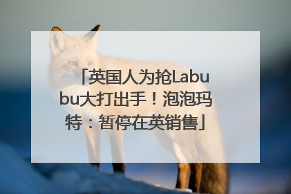 英国人为抢Labubu大打出手！泡泡玛特：暂停在英销售