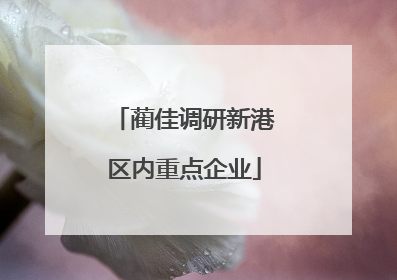 蔺佳调研新港区内重点企业