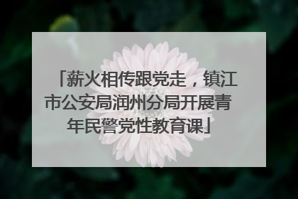 薪火相传跟党走，镇江市公安局润州分局开展青年民警党性教育课