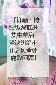 许勤：持续纵深推进集中整治 坚决纠治不正之风查处腐败问题