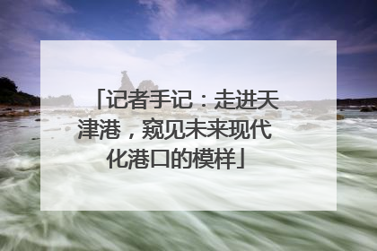 记者手记：走进天津港，窥见未来现代化港口的模样