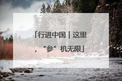 行进中国｜这里，“参”机无限