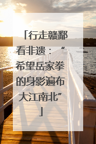 行走赣鄱看非遗：“希望岳家拳的身影遍布大江南北”