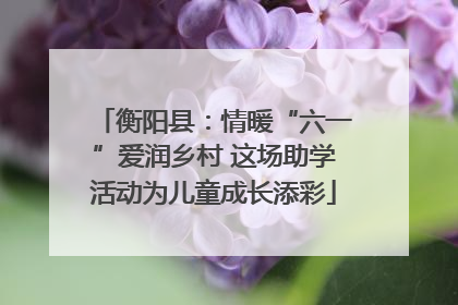 衡阳县：情暖“六一”爱润乡村 这场助学活动为儿童成长添彩