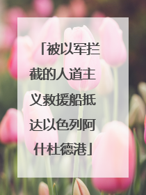 被以军拦截的人道主义救援船抵达以色列阿什杜德港