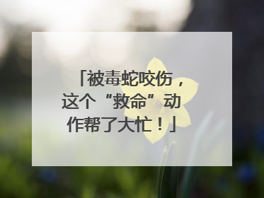 被毒蛇咬伤，这个“救命”动作帮了大忙！