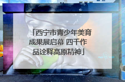 西宁市青少年美育成果展启幕 四千作品诠释高原精神
