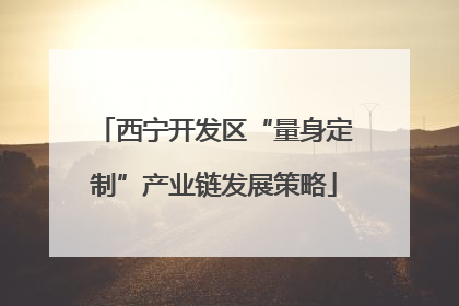 西宁开发区“量身定制”产业链发展策略