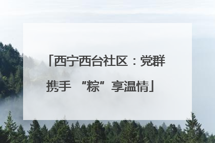 西宁西台社区：党群携手 “粽”享温情