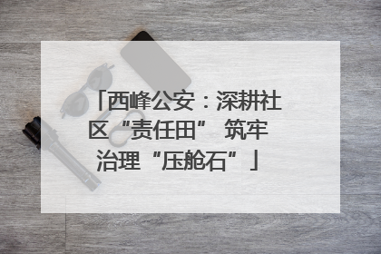 西峰公安：深耕社区“责任田” 筑牢治理“压舱石”