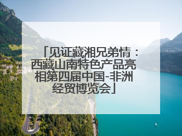 见证藏湘兄弟情：西藏山南特色产品亮相第四届中国-非洲经贸博览会