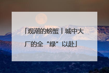 观潮的螃蟹丨城中大厂的全“绿”以赴