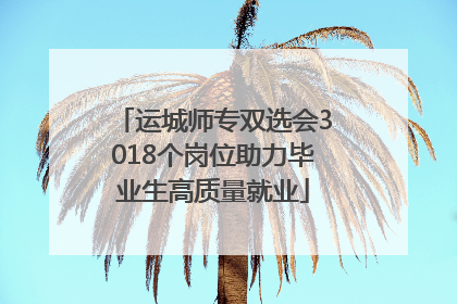 运城师专双选会3018个岗位助力毕业生高质量就业