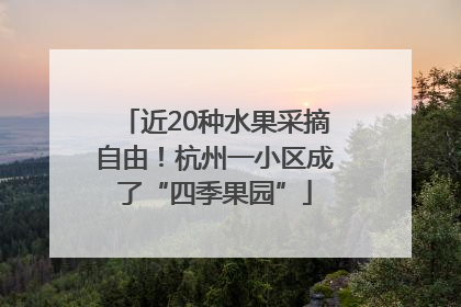 近20种水果采摘自由！杭州一小区成了“四季果园”
