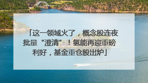 这一领域火了，概念股连夜批量“澄清”！氢能再迎重磅利好，基金重仓股出炉