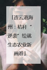 连云港海州：秸秆“逆袭”绘就生态农业新画卷