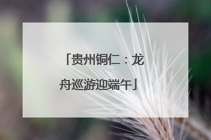 贵州铜仁：龙舟巡游迎端午