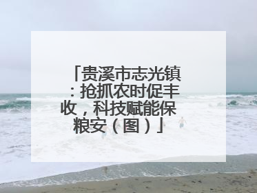 贵溪市志光镇：抢抓农时促丰收，科技赋能保粮安（图）