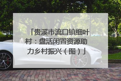 贵溪市流口镇细叶村：盘活闲置资源助力乡村振兴（图）