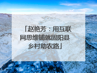 赵艳芳：用互联网思维铺就固阳县乡村助农路