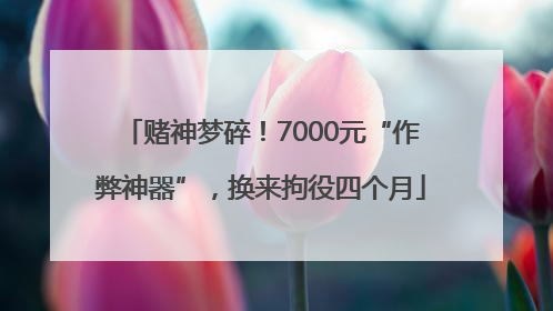 赌神梦碎！7000元“作弊神器”，换来拘役四个月
