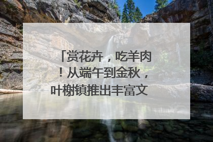 赏花卉，吃羊肉！从端午到金秋，叶榭镇推出丰富文旅活动邀您爽玩