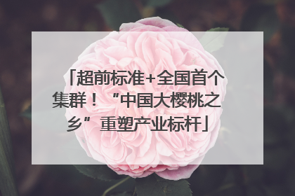 超前标准+全国首个集群！“中国大樱桃之乡”重塑产业标杆