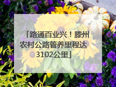 路通百业兴！滕州农村公路管养里程达3102公里