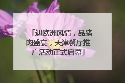 遇欧洲风情，品猪肉盛宴，天津餐厅推广活动正式启幕