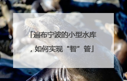 遍布宁波的小型水库，如何实现“智”管