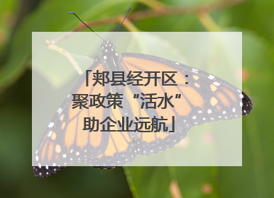 郏县经开区：聚政策“活水” 助企业远航