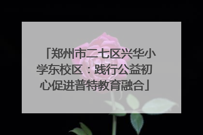 郑州市二七区兴华小学东校区：践行公益初心促进普特教育融合