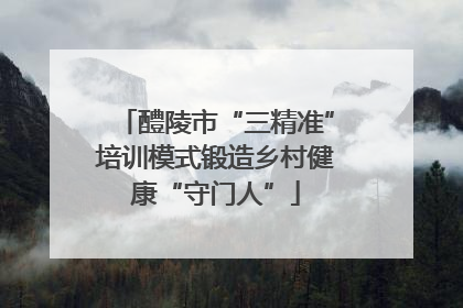 醴陵市“三精准”培训模式锻造乡村健康“守门人”