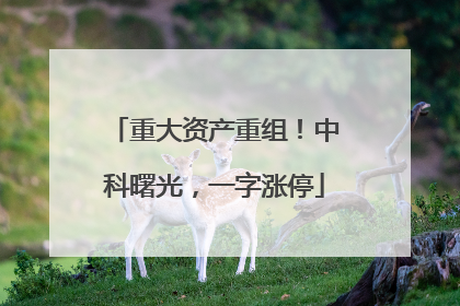 重大资产重组！中科曙光，一字涨停